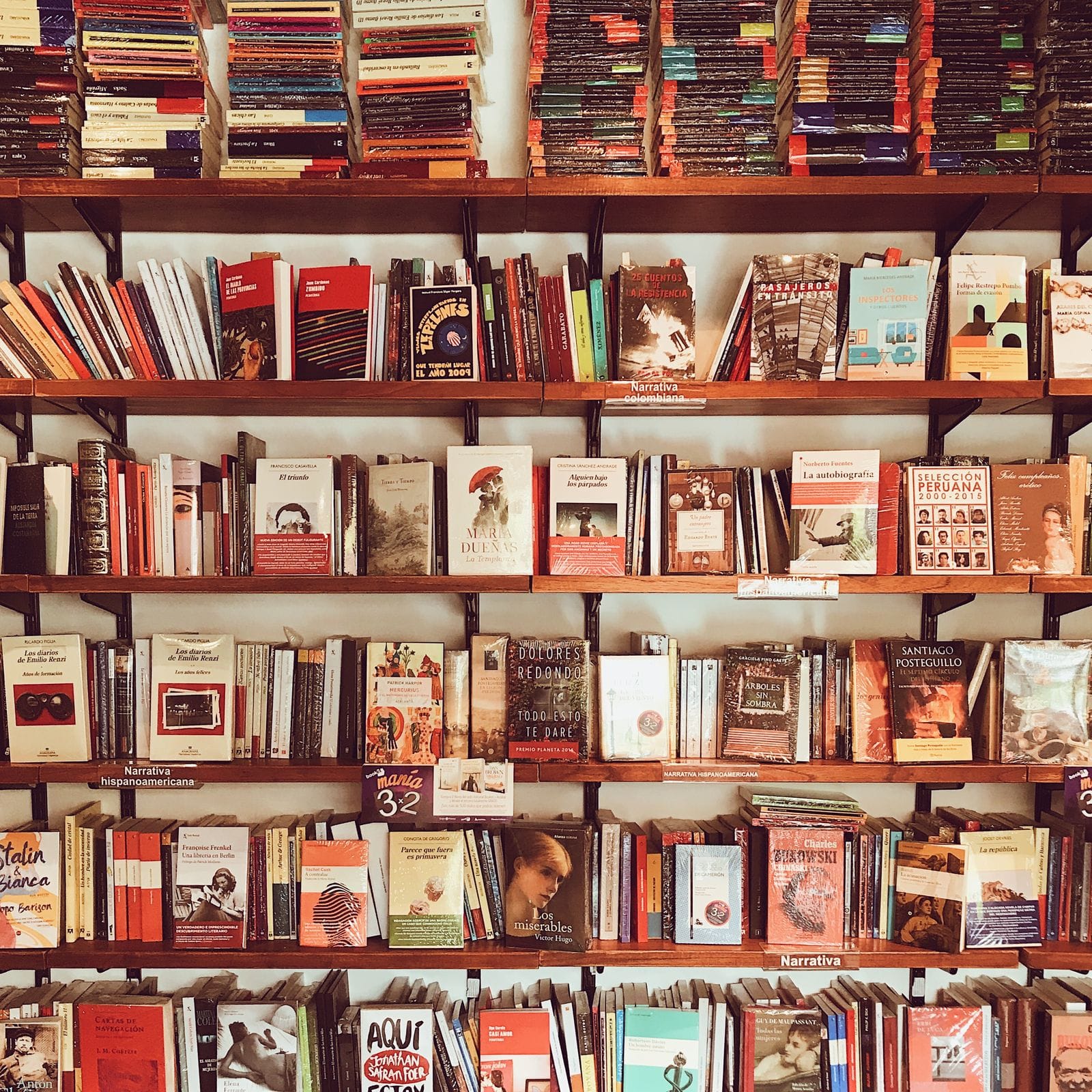 Colección de libros ordenados en una estantería de madera, con los lomos de colores formando una larga hilera