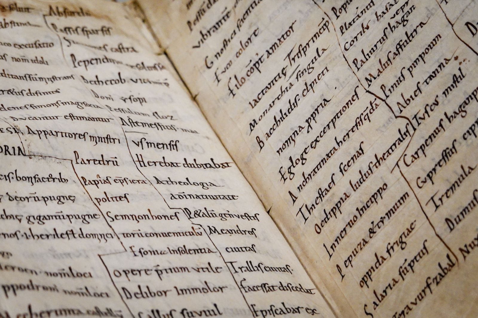 Manuscrito antiguo con caligrafía a mano y capitulares iluminadas, abierto bajo una luz tenue