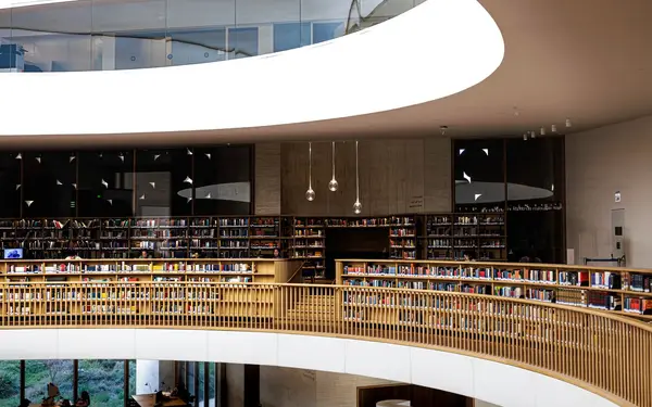 Vista de la web de ejemplo de Biblioteca Mestre Pla