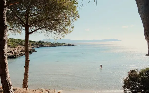 Vista de la web de ejemplo de Càmping Cala Serena
