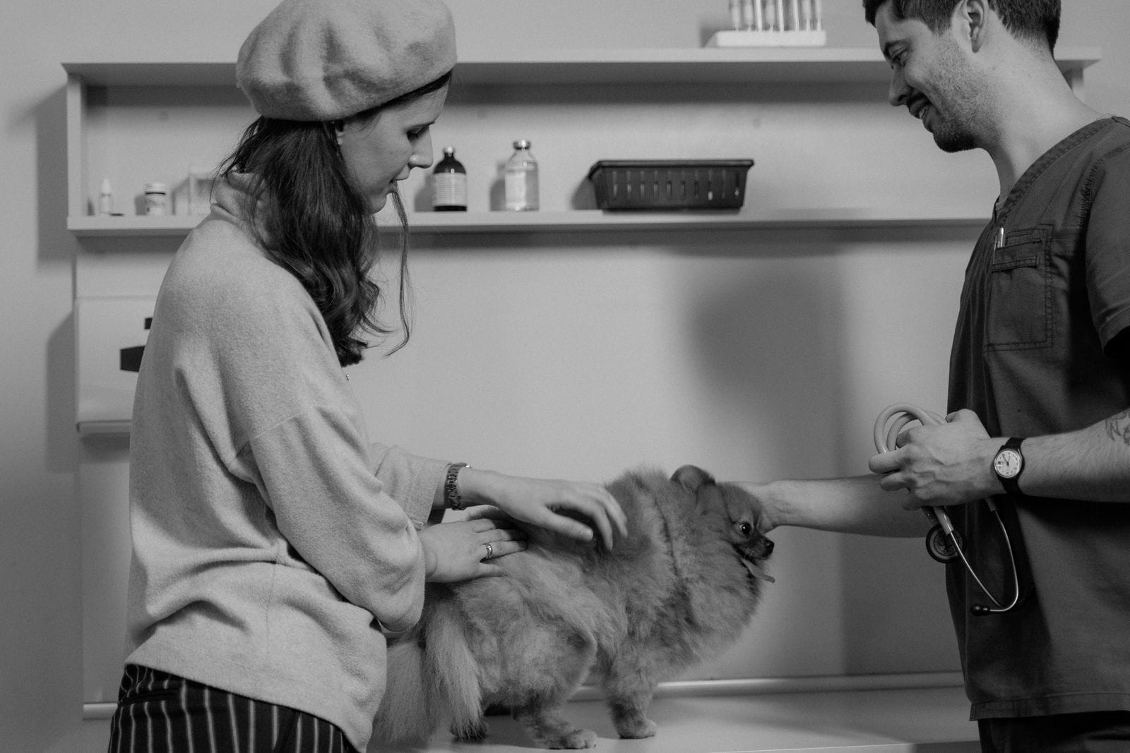 Veterinaria sonriente auscultando a un perro tranquilo sobre la camilla de la consulta