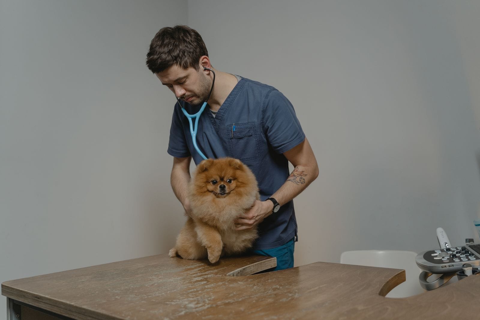 El doctor Jordi Roig auscultando a un gato sobre la camilla con gesto tranquilo